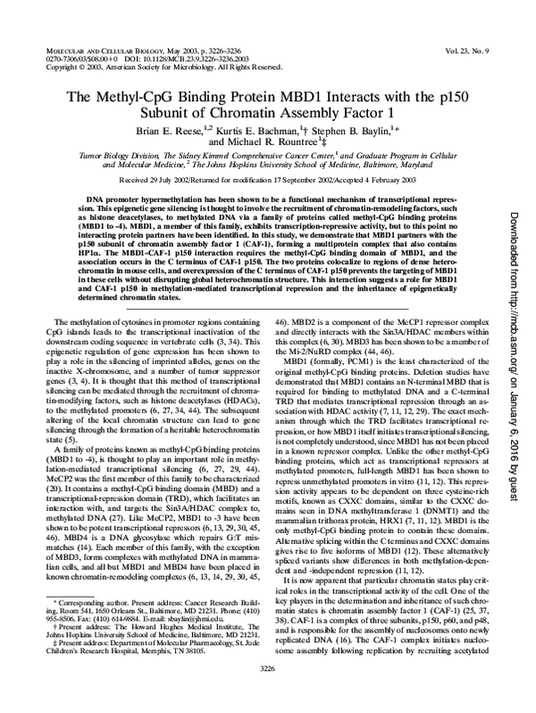 (PDF) The Methyl-CpG Binding Protein MBD1 Interacts with the p150 ...