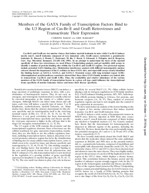 (PDF) Members of the GATA Family of Transcription Factors Bind to the ...