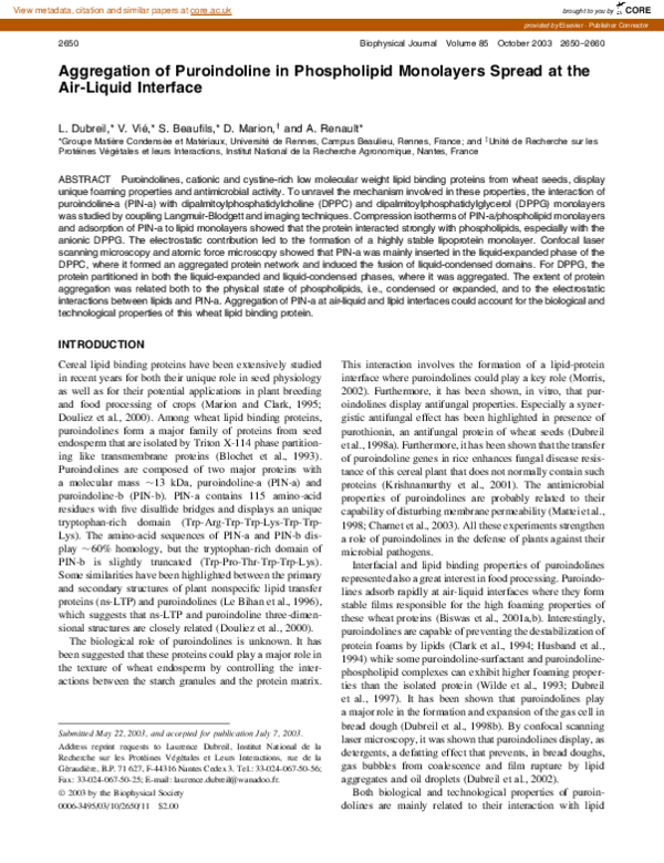 (PDF) Aggregation of Puroindoline in Phospholipid Monolayers Spread at ...