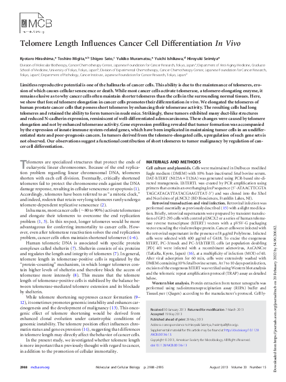(PDF) Telomere Length Influences Cancer Cell Differentiation In Vivo