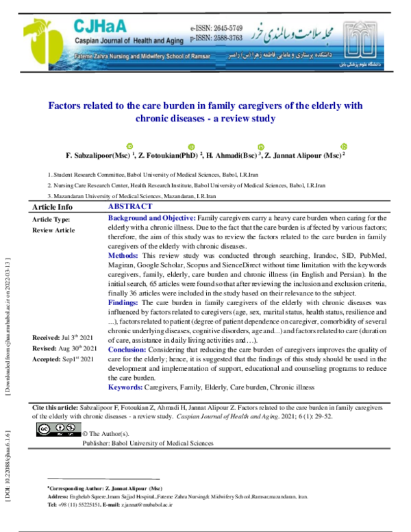 (PDF) Factors related to the care burden in family caregivers of the ...