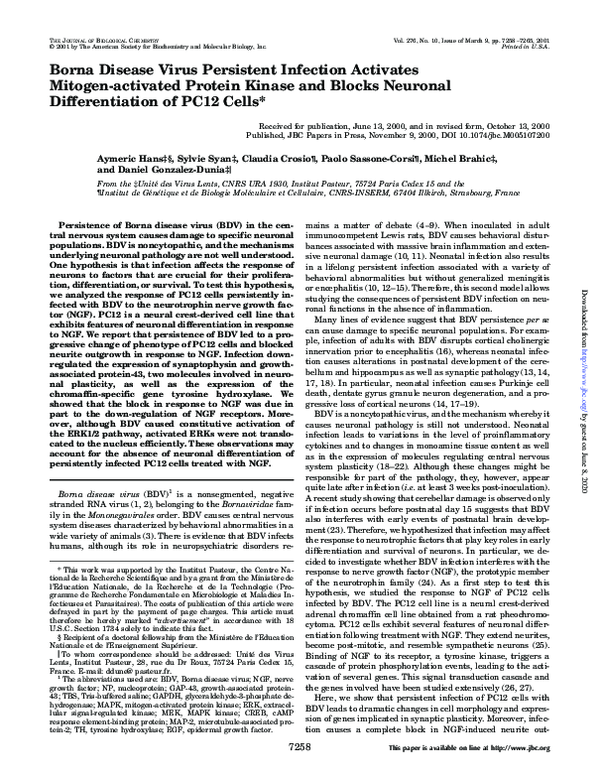 (PDF) Borna Disease Virus Persistent Infection Activates Mitogen ...
