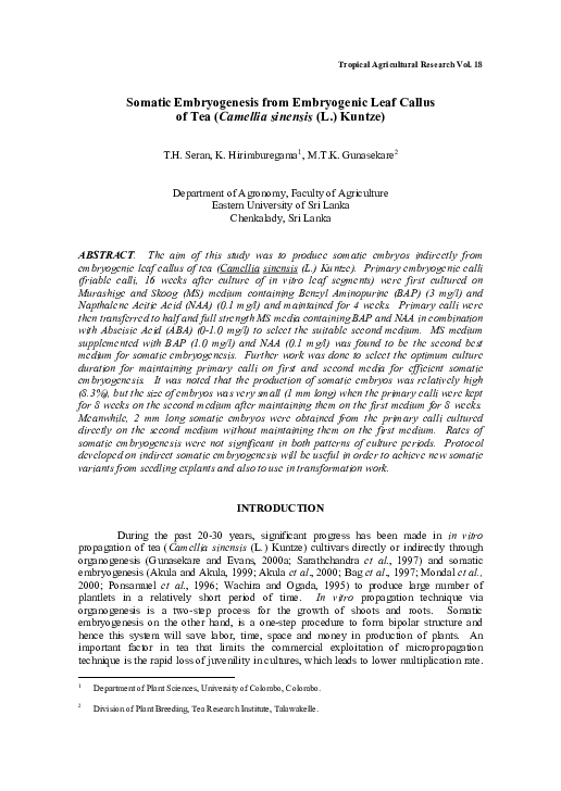 (PDF) Somatic Embryogenesis from Embryogenic Leaf Callus of Tea ...