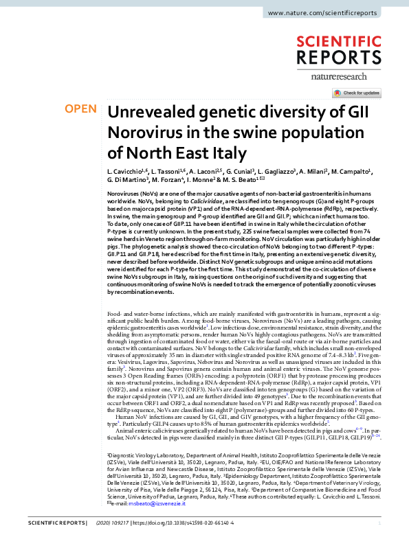 (PDF) Unrevealed genetic diversity of GII Norovirus in the swine ...