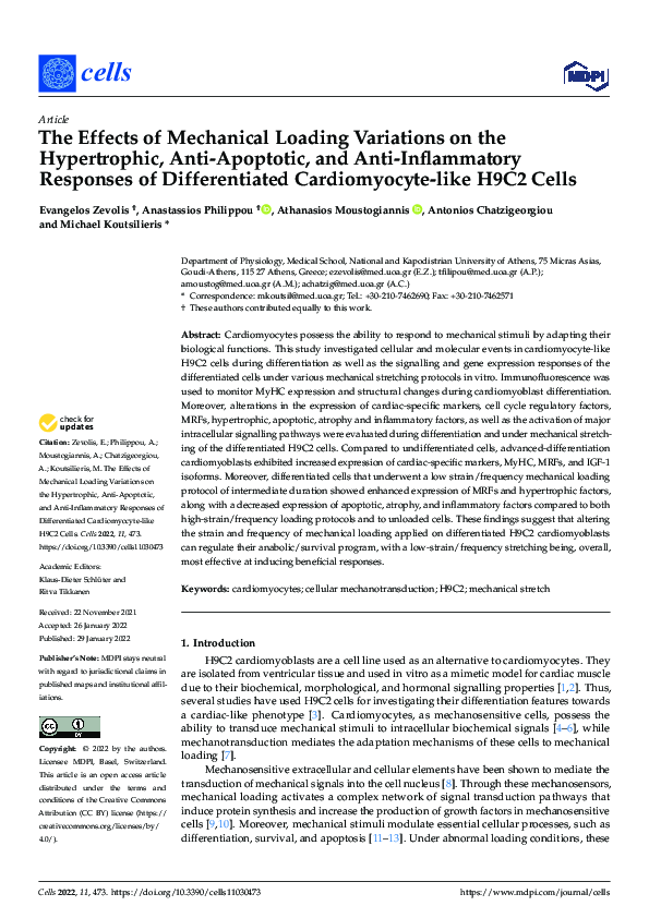 (PDF) The Effects of Mechanical Loading Variations on the Hypertrophic ...