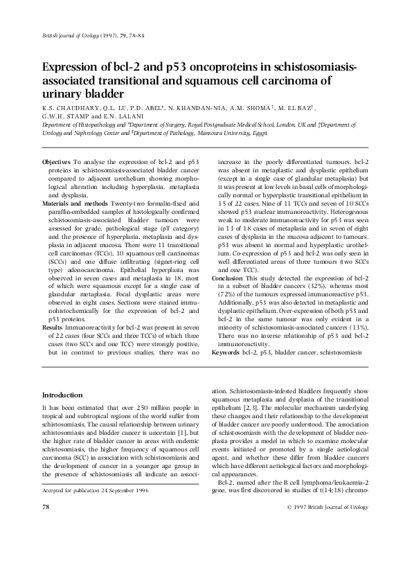(PDF) Expression of bcl-2 and p53 oncoproteins in schistosomiasis ...