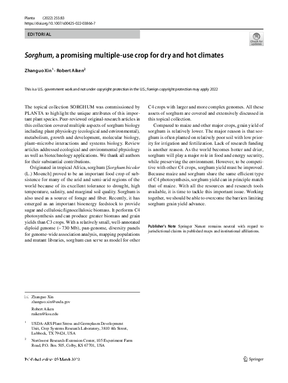 (PDF) Sorghum, a promising multiple-use crop for dry and hot climates