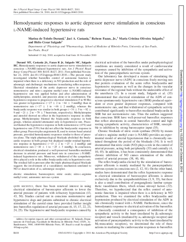 (PDF) Hemodynamic responses to aortic depressor nerve stimulation in ...