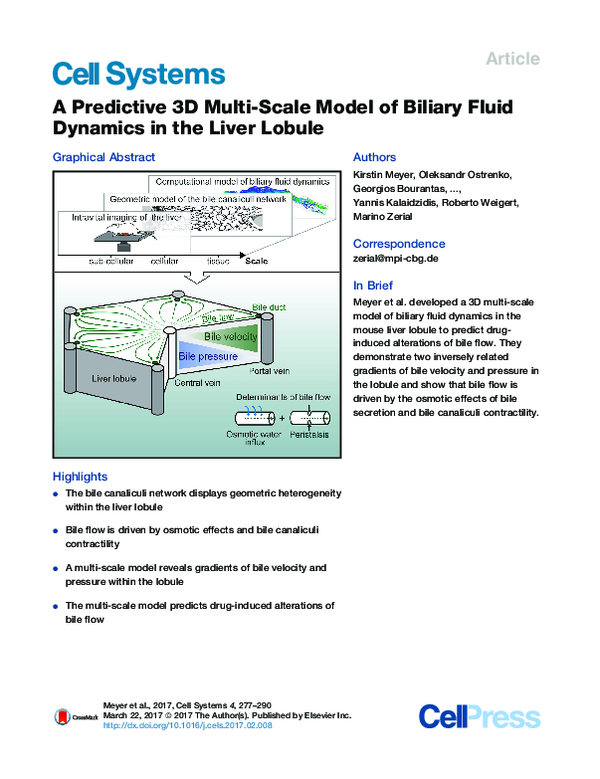 (PDF) A Predictive 3D Multi-Scale Model of Biliary Fluid Dynamics in ...