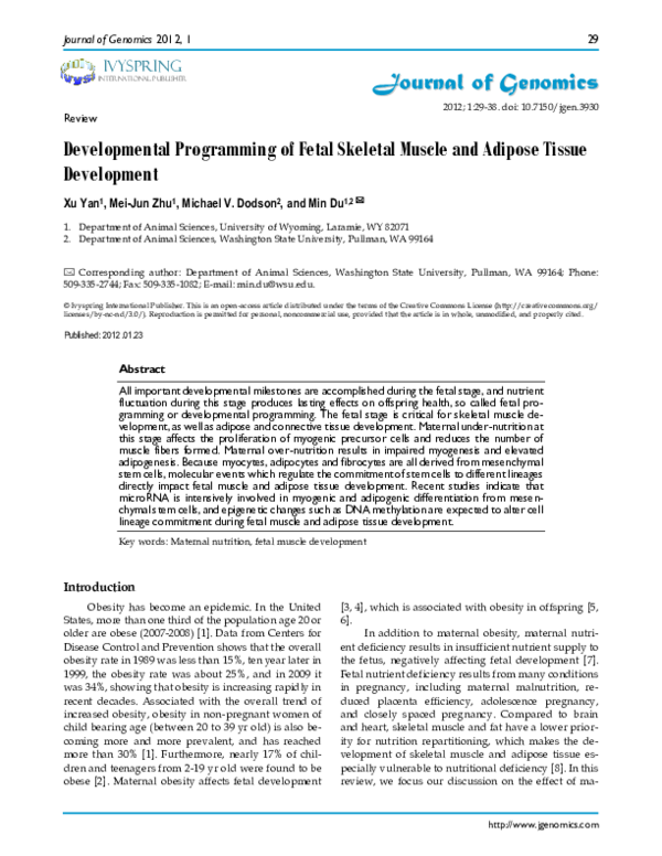 (PDF) Developmental programming of fetal skeletal muscle and adipose ...