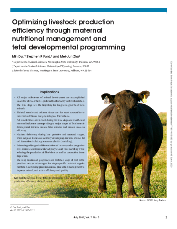 (PDF) Optimizing livestock production efficiency through maternal ...