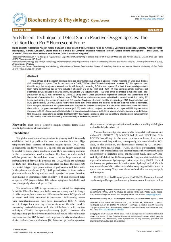 (PDF) An Efficient Technique to Detect Sperm Reactive Oxygen Species ...