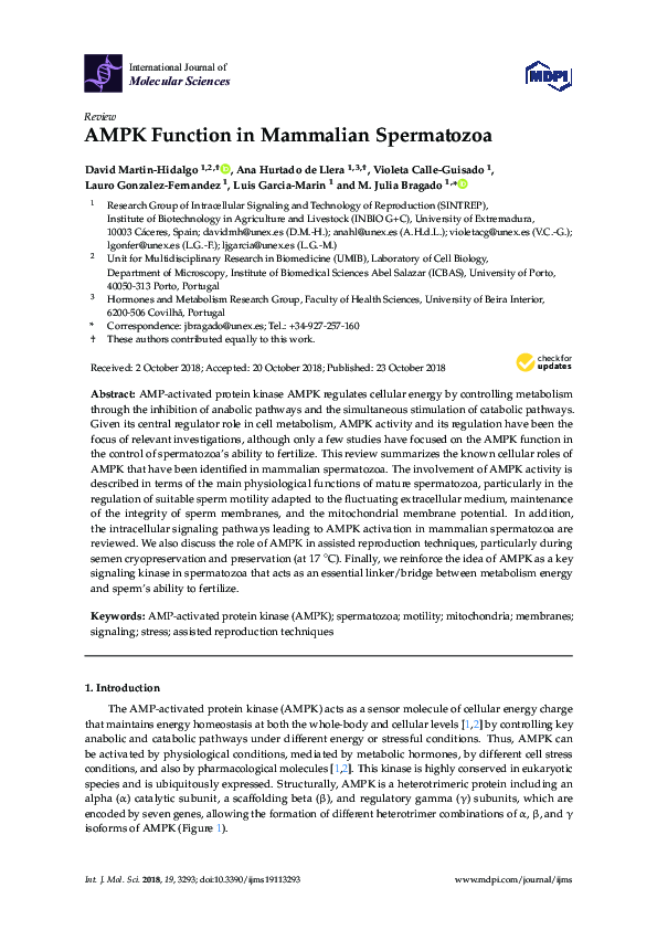 (PDF) AMPK Function in Mammalian Spermatozoa