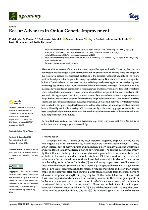 (PDF) Recent Advances in Onion Genetic Improvement