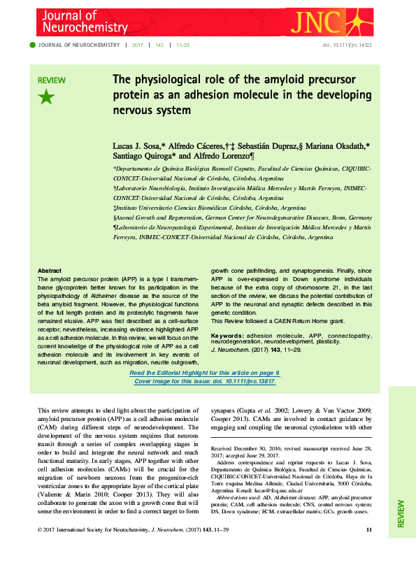 (PDF) The physiological role of the amyloid precursor protein as an ...