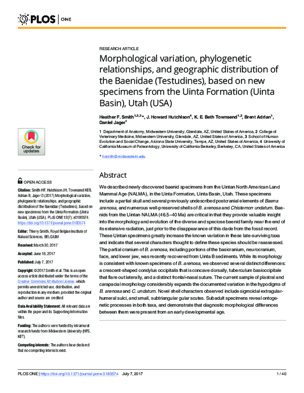 (PDF) Morphological variation, phylogenetic relationships, and ...