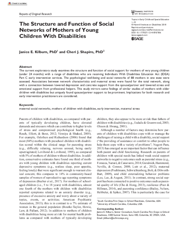 (PDF) The Structure and Function of Social Networks of Mothers of Young ...