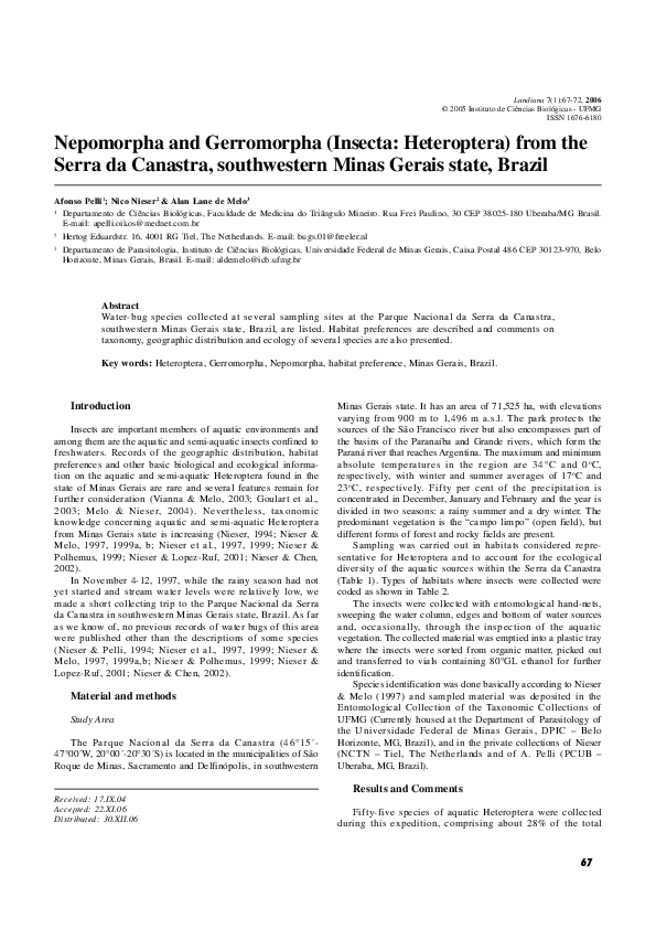 (PDF) Nepomorpha and Gerromorpha (Insecta: Heteroptera) from the Serra ...