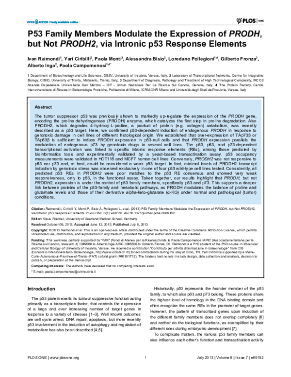 (PDF) P53 Family Members Modulate the Expression of PRODH, but Not ...