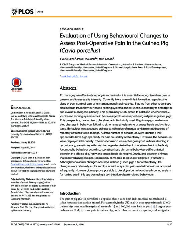 (PDF) Evaluation of Using Behavioural Changes to Assess Post-Operative ... - Resolved Click Revision Hi Formatting Valid Guinea Pig Adhesion Graceful Respir
