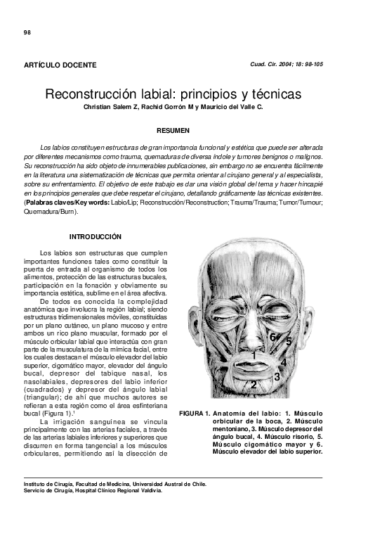 (PDF) Reconstrucción labial: principios y técnicas