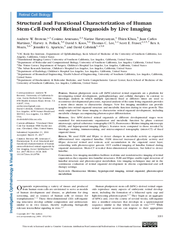 (PDF) Structural and Functional Characterization of Human Stem-Cell ...
