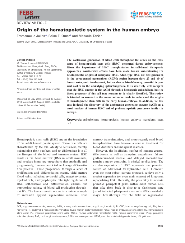 (PDF) Origin of the hematopoietic system in the human embryo