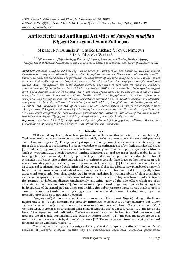 (PDF) Antibacterial and Antifungal Activities of Jatropha multifida ...