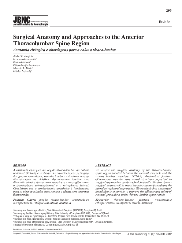 (PDF) Surgical Anatomy and Approaches to the Anterior Thoracolumbar ...