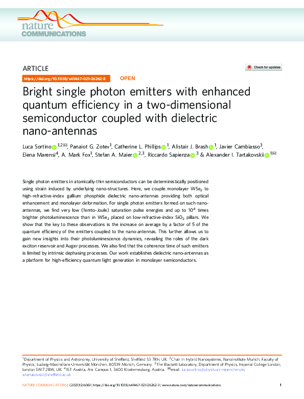 (PDF) Bright single photon emitters with enhanced quantum efficiency in ...