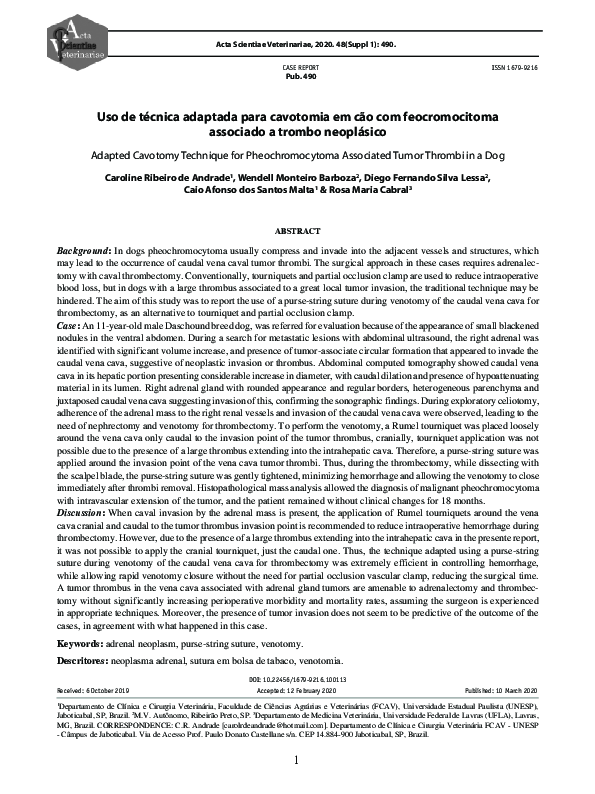 (PDF) Adapted Cavotomy Technique for Pheochromocytoma Associated Tumor ...