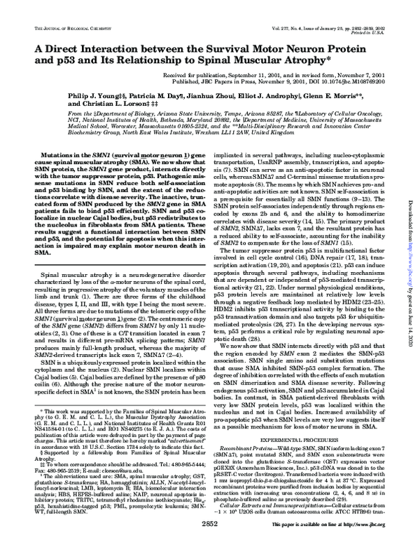 (PDF) A Direct Interaction between the Survival Motor Neuron Protein ...