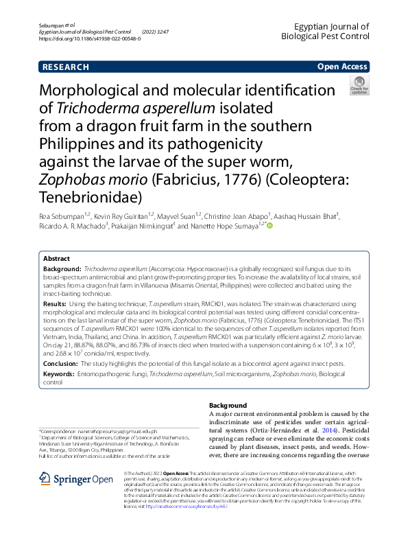 (PDF) Morphological and molecular identification of Trichoderma ...