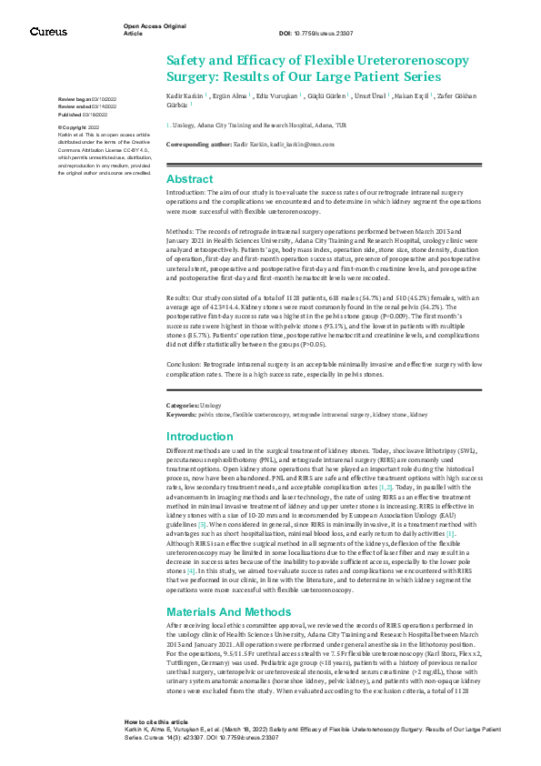 (PDF) Safety and Efficacy of Flexible Ureterorenoscopy Surgery: Results ...