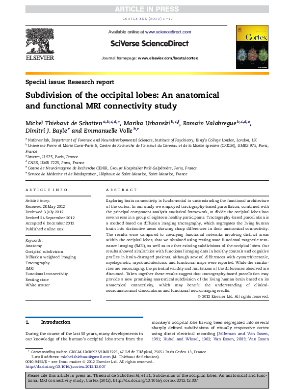 (PDF) Subdivision of the occipital lobes: An anatomical and functional ...