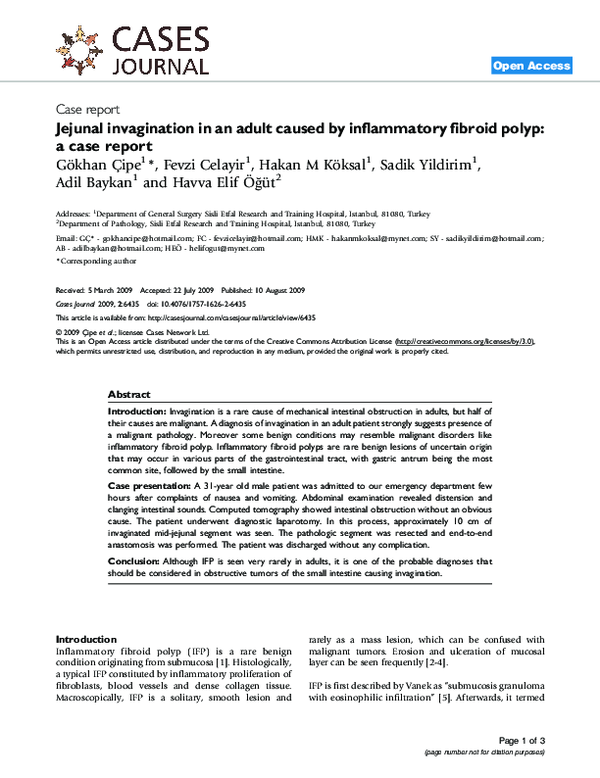 (PDF) The development of a strategic risk analysis framework for ...
