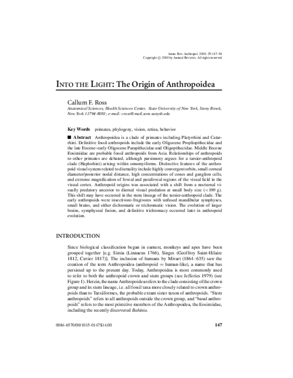(PDF) I NTO THE L IGHT : The Origin of Anthropoidea