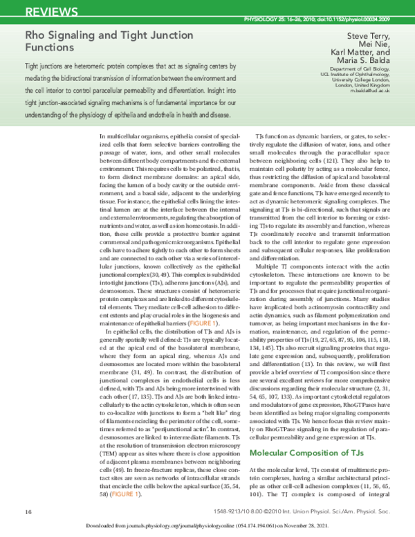 (PDF) Rho Signaling and Tight Junction Functions