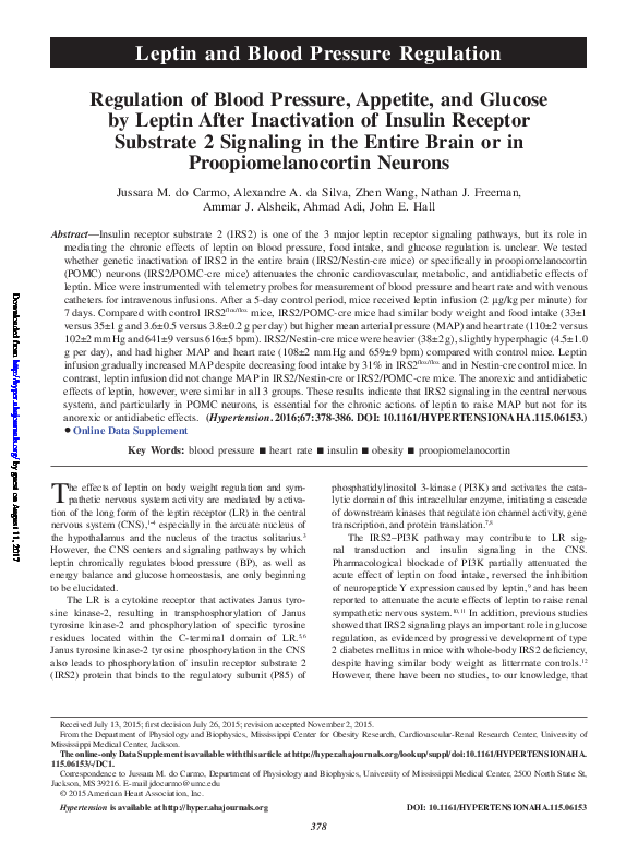 (PDF) Regulation of Blood Pressure, Appetite, and Glucose by Leptin ...