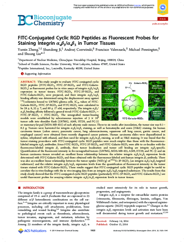 (PDF) FITC-conjugated cyclic RGD peptides as fluorescent probes for ...