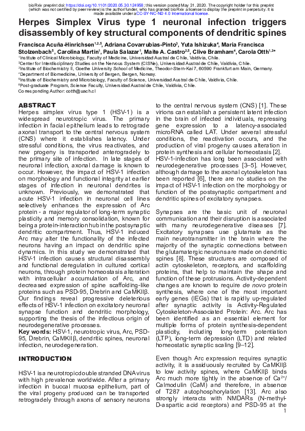 (PDF) Herpes Simplex Virus type 1 neuronal infection triggers ...