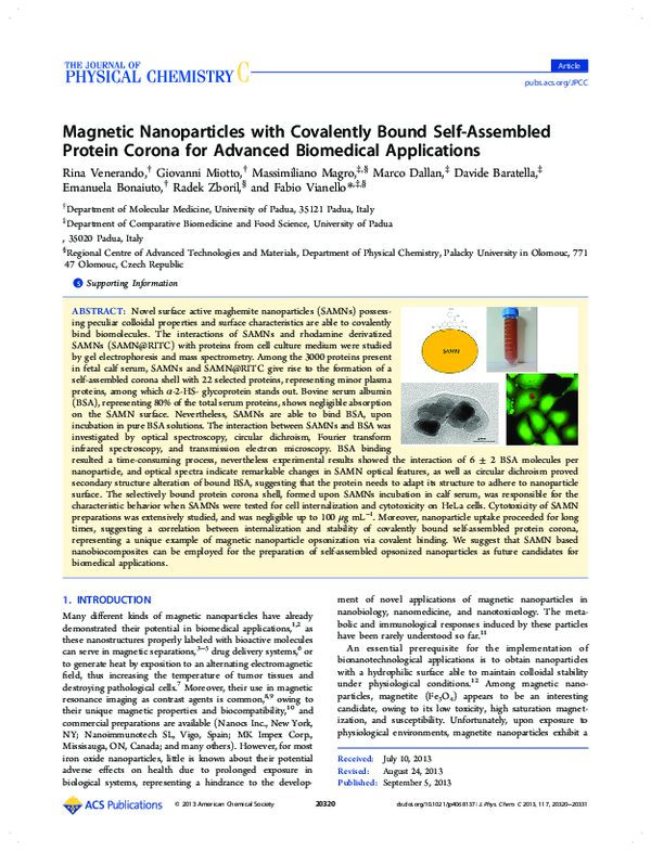 (PDF) Magnetic Nanoparticles with Covalently Bound Self-Assembled ...