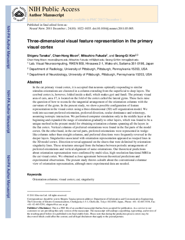 (PDF) Three-dimensional visual feature representation in the primary ...