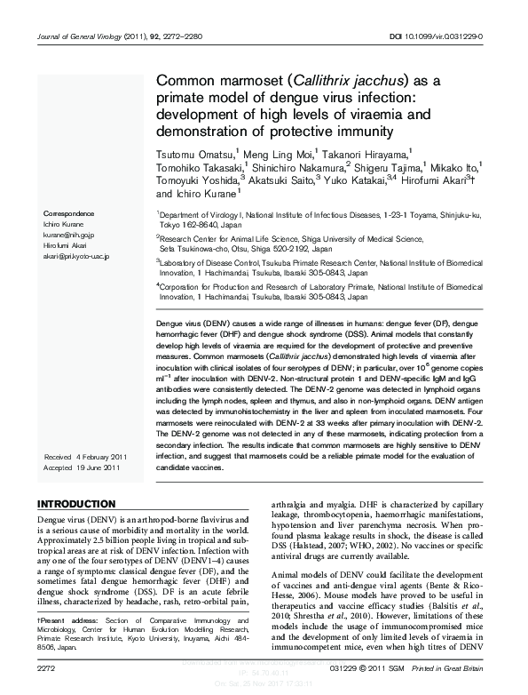 (PDF) Common marmoset (Callithrix jacchus) as a primate model of dengue ...