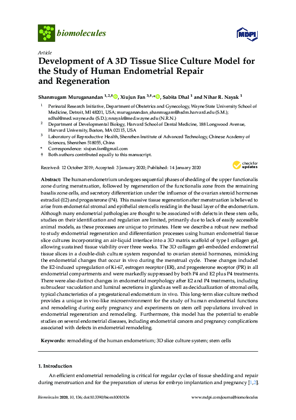 (PDF) Development of A 3D Tissue Slice Culture Model for the Study of ...