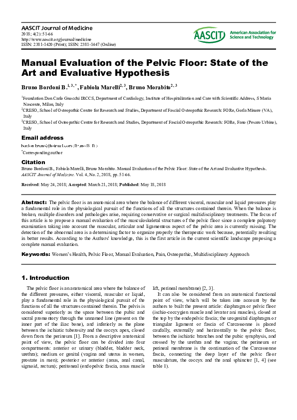 (PDF) Manual Evaluation of the Pelvic Floor : State of the Art and ...