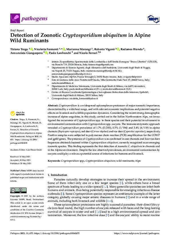 (PDF) Detection of Zoonotic Cryptosporidium ubiquitum in Alpine Wild ...