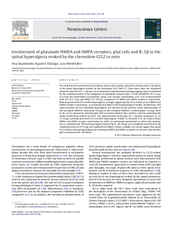 (PDF) Involvement of glutamate NMDA and AMPA receptors, glial cells and ...