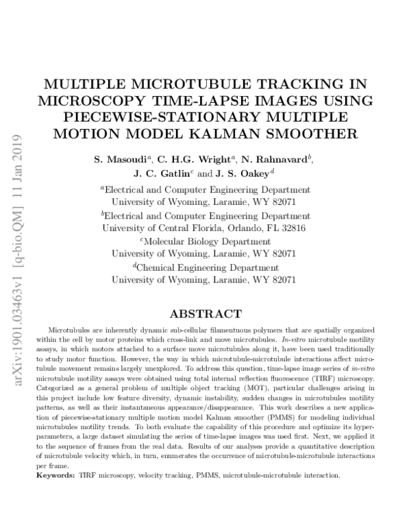 (PDF) Multiple Microtubule Tracking in Microscopy Time-Lapse Images ...