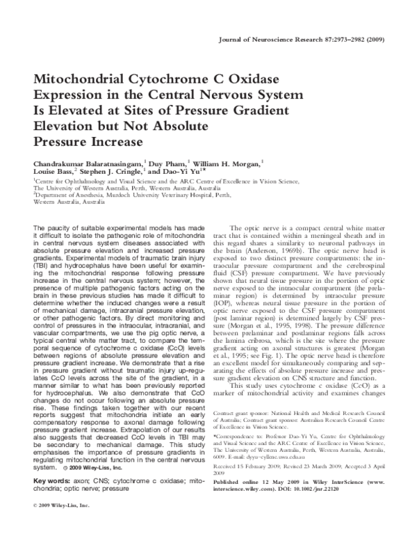 (PDF) Mitochondrial cytochrome c oxidase expression in the central ...